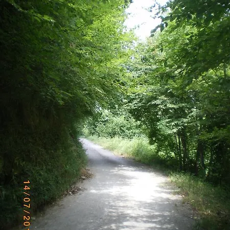 Castel D'albori
